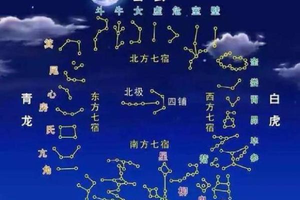 北极是指哪几个星座的