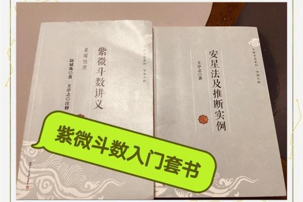 紫薇斗数入门更好的书