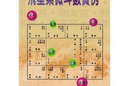 易遭连累而破财的紫薇命造