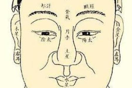 鬼谷子紫薇斗数
