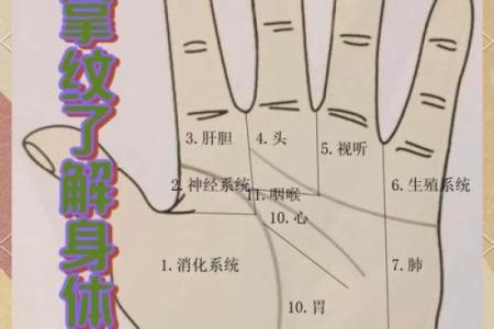 如何通过手相手纹算命-