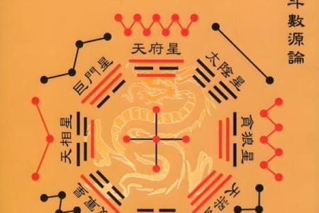 紫微命盘和紫薇斗数盘