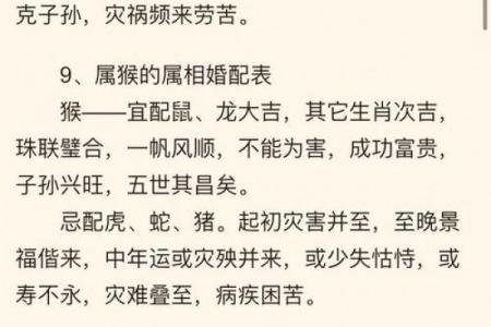 生肖配对属鼠属鸡的婚姻怎么样