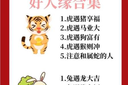 揭秘肖鼠女的属相配对