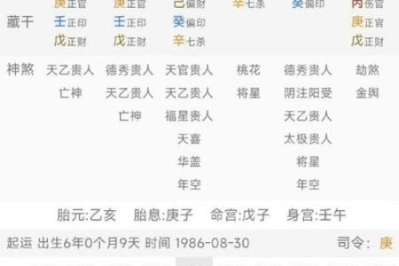 算命说有两个替子