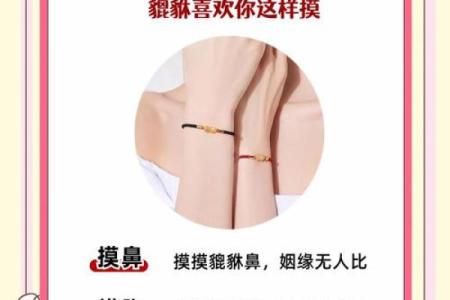 女生佩戴貔貅都有哪些风水禁忌了