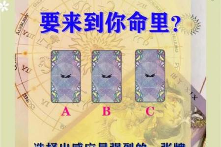 塔罗测试：三月你的事业运势如何？