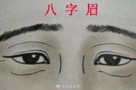 面相八字眉特征，什么是八字眉？