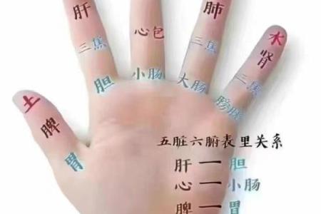 八字看健康；和中医的共通之处