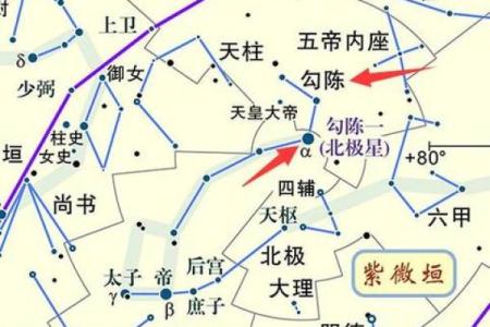 北极是指哪几个星座的