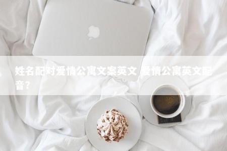 姓名配对爱情公寓文案英文 爱情公寓英文配音？