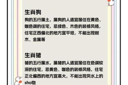 属鼠人风水吉凶方位，如何开运