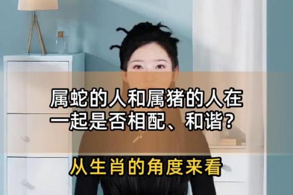 生肖蛇和生肖猪能够配对吗
