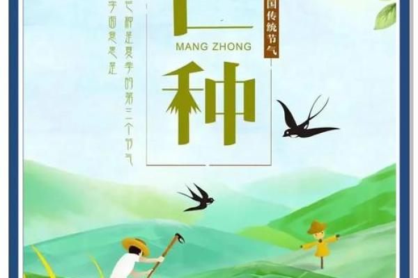 2024年芒种的财神方位在哪？芒种节气的三个物候现象