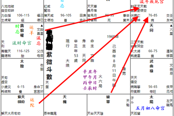 紫薇斗数流日求职