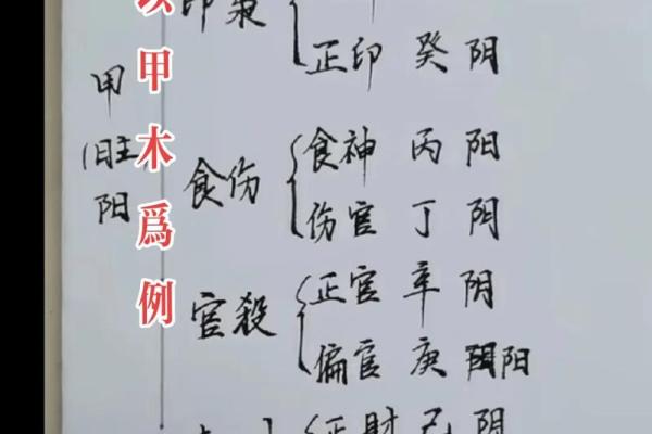 如何认识科学算命