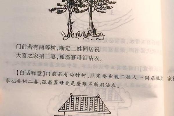 住宅风水宜忌解析