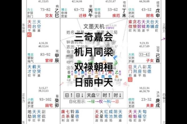 葵葵紫薇斗数