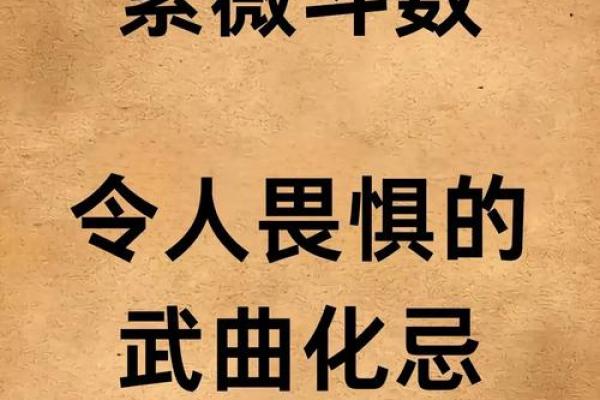 紫薇圣人的紫薇斗数