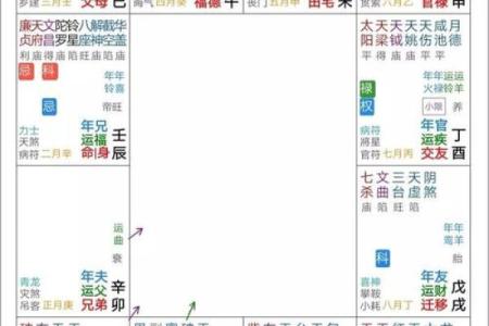 紫薇斗数天月星