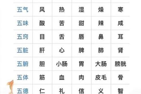 什么是五行八字