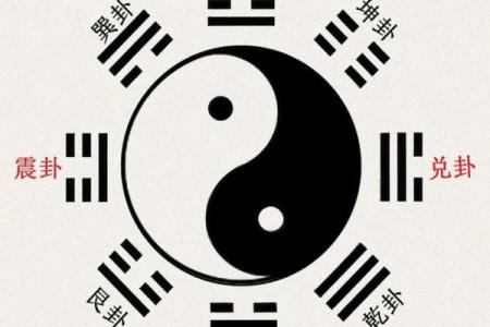 八字个五个金