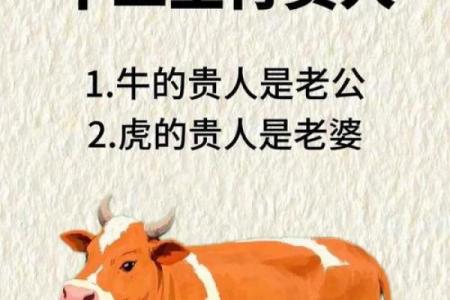 1985属牛的婚姻配对最佳