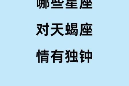 最佳合伙人的天蝎座配对
