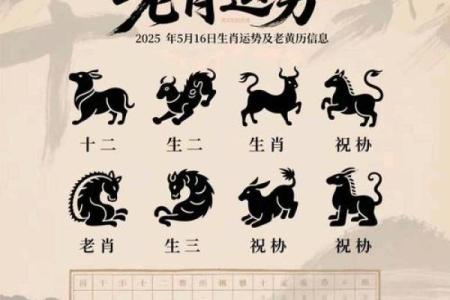 老黄历属兔犯几月  属兔人犯月都是哪几个月