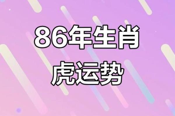 属虎哪个星座运势更好