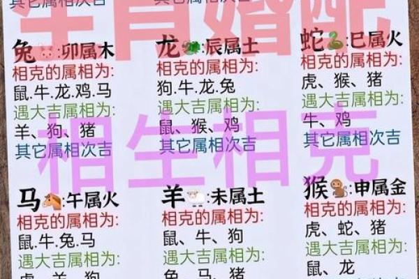 肖鼠者不同血型有哪些优势