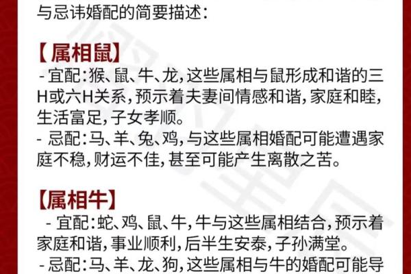十二生肖婚配大全表 12生肖婚姻最佳配对表图片