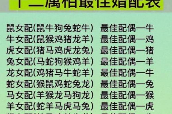 十二生肖婚配大全表 12生肖婚姻最佳配对表图片