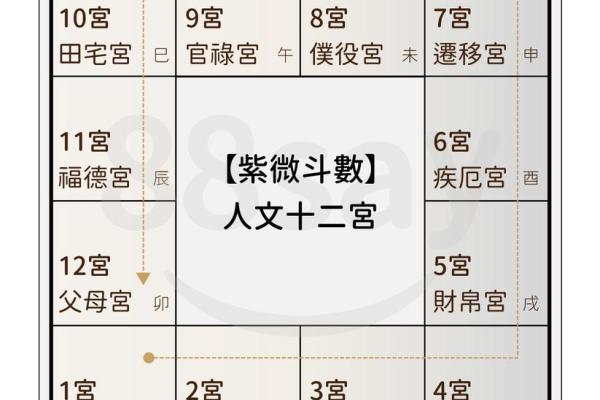 紫薇斗数命主什么意思