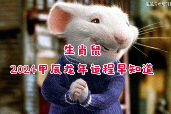 2024年对生肖鼠好不好，属鼠人在2024年的有利方位解析