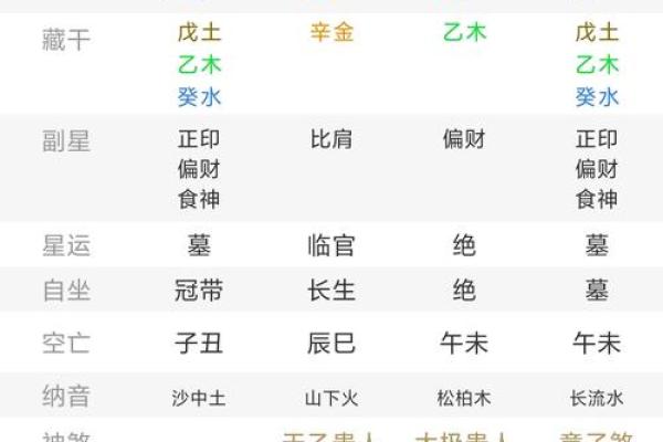 时祥智五行生辰八字取名字