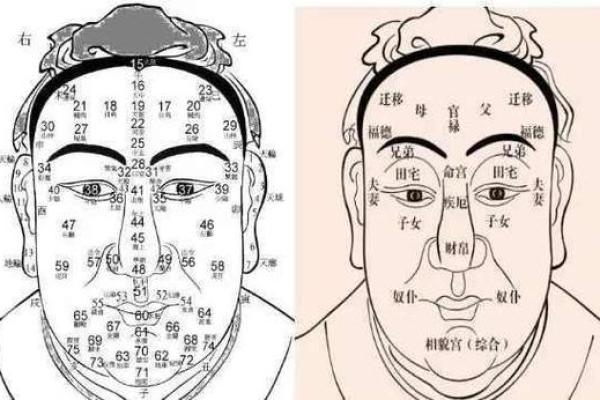 面相图解-八字眉面相算命及特征