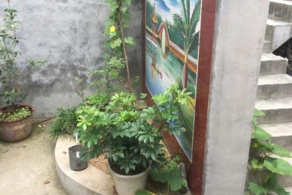 窗外花坛风水好吗