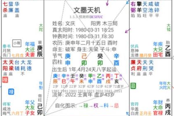 紫薇斗数看财运格局