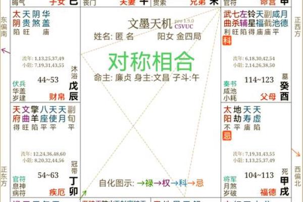 紫微斗数之基本术语