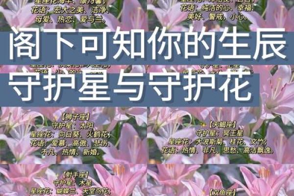 每个星座适合是么花