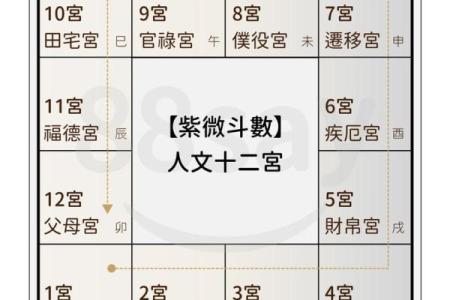 紫薇斗数命主什么意思