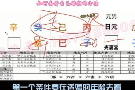 八字预测：如何从八字看出你的魅力？
