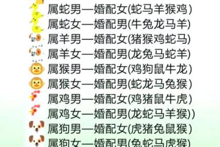 属猪的找什么属相最好 不同月份出生属猪的婚配最佳配对