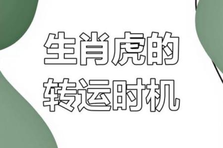 属虎办公室风水布局 几个简单方法可助你招来大好运