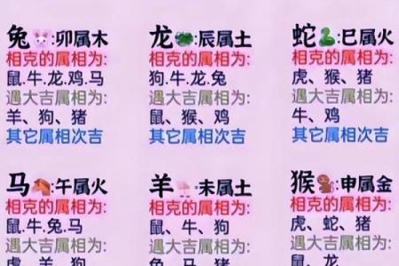 91年属什么生肖多大 婚配表 配对 什么命