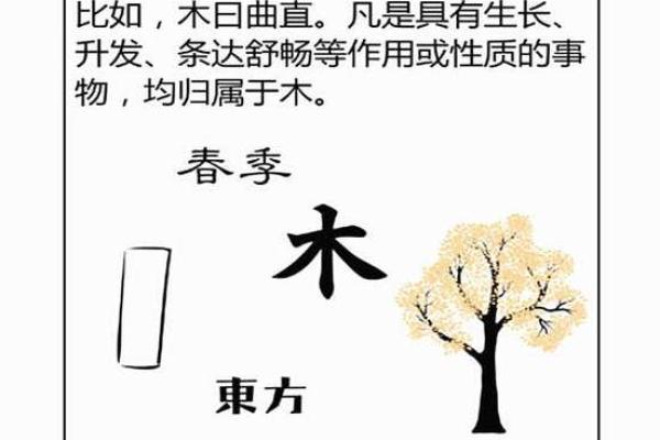 八字算命男命缺水缺木好吗