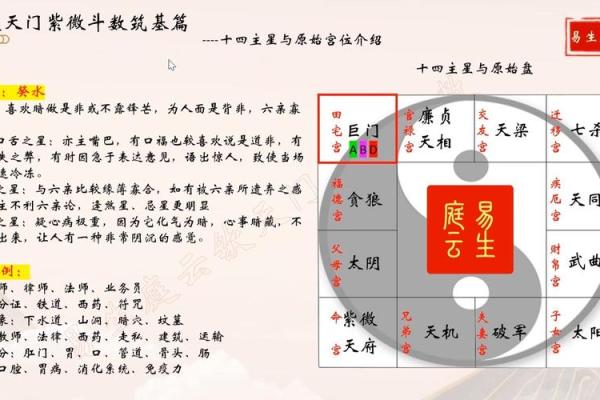 紫薇斗数主星相同