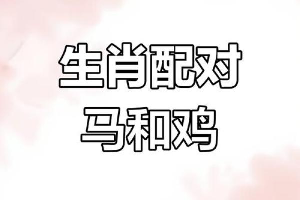 鸡跟什么生肖配对最好