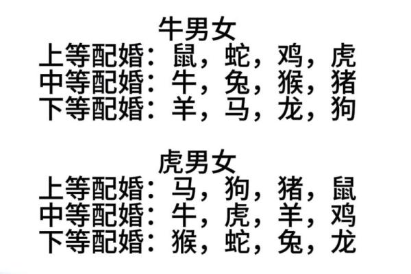 十二生肖男生姓名配对 十二生肖男生姓名配对图？